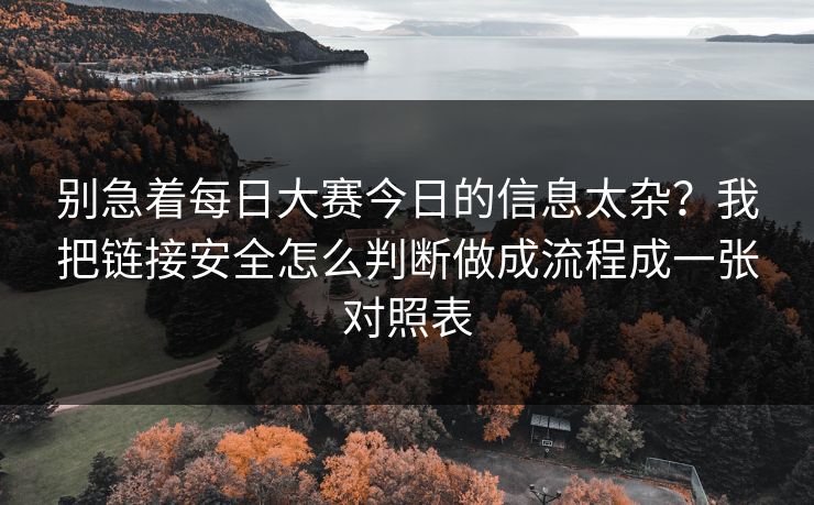 别急着每日大赛今日的信息太杂？我把链接安全怎么判断做成流程成一张对照表
